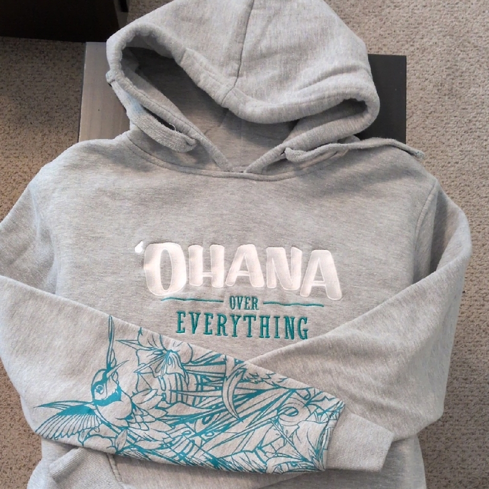 Gray Hoodie with Teal Graphic